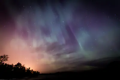 An aurora glowing across a storry sky above trees