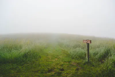 A grassy field that disappears into mists