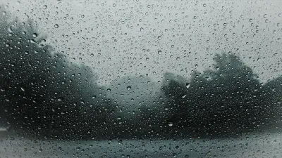 Trees in a foggy evening, seen through a raindrop-covered window